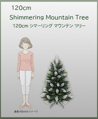 サイズイメージ